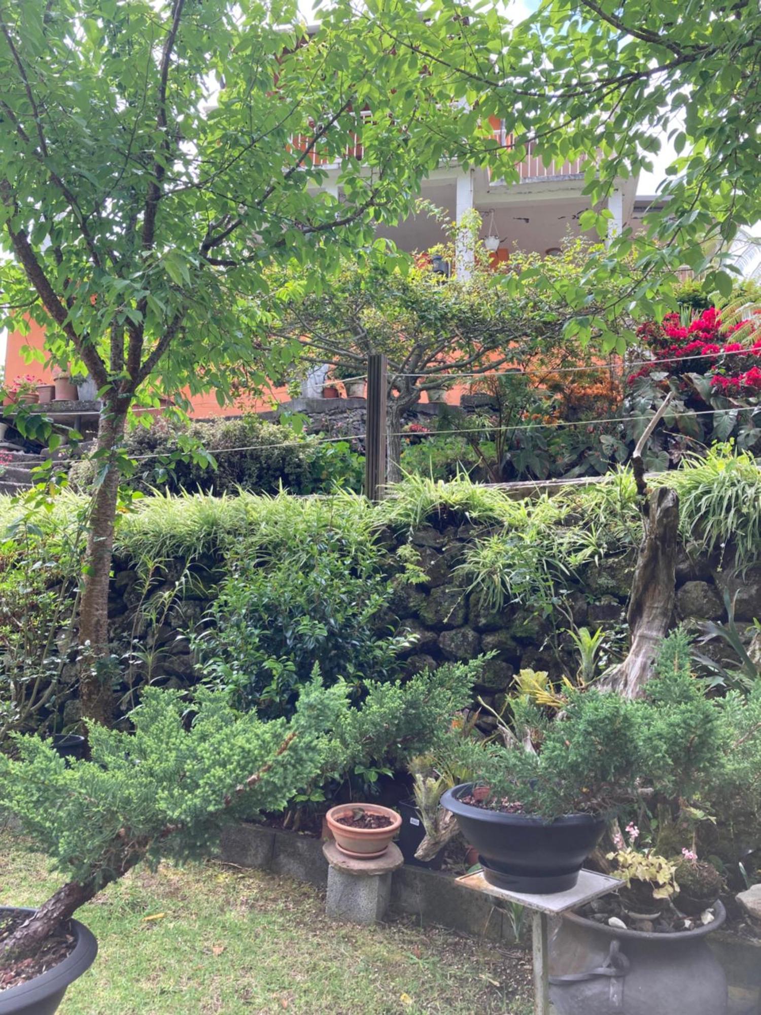 Les Begonias Villa Cilaos Ngoại thất bức ảnh