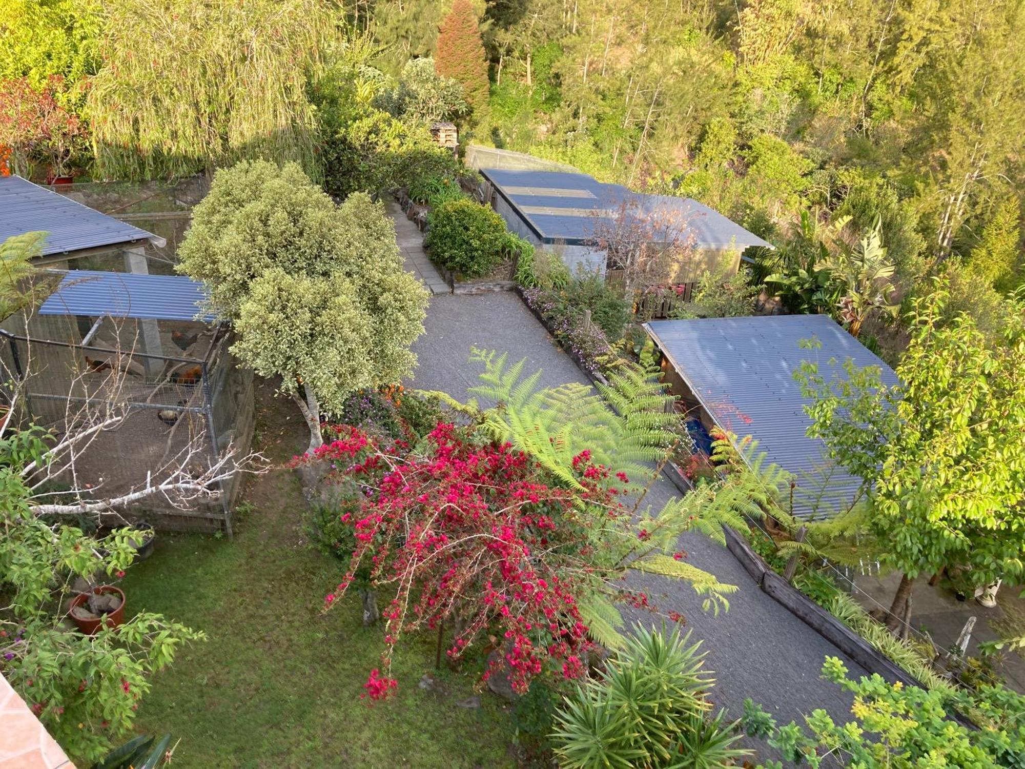 Les Begonias Villa Cilaos Ngoại thất bức ảnh